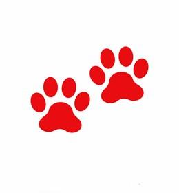 red paws image